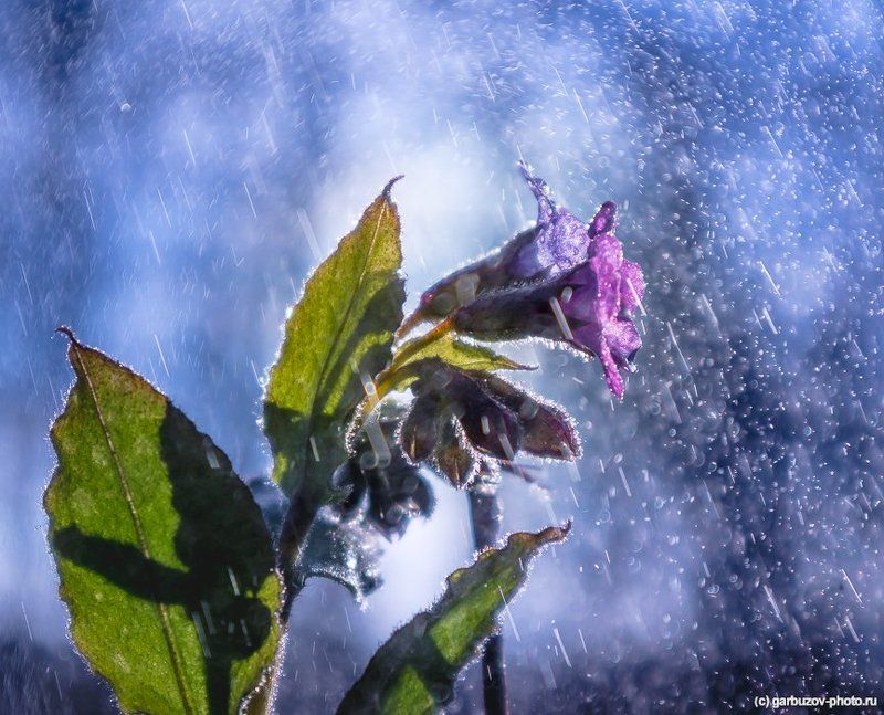 Время первого меда фото превью