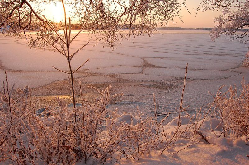 Розовые сны фото превью