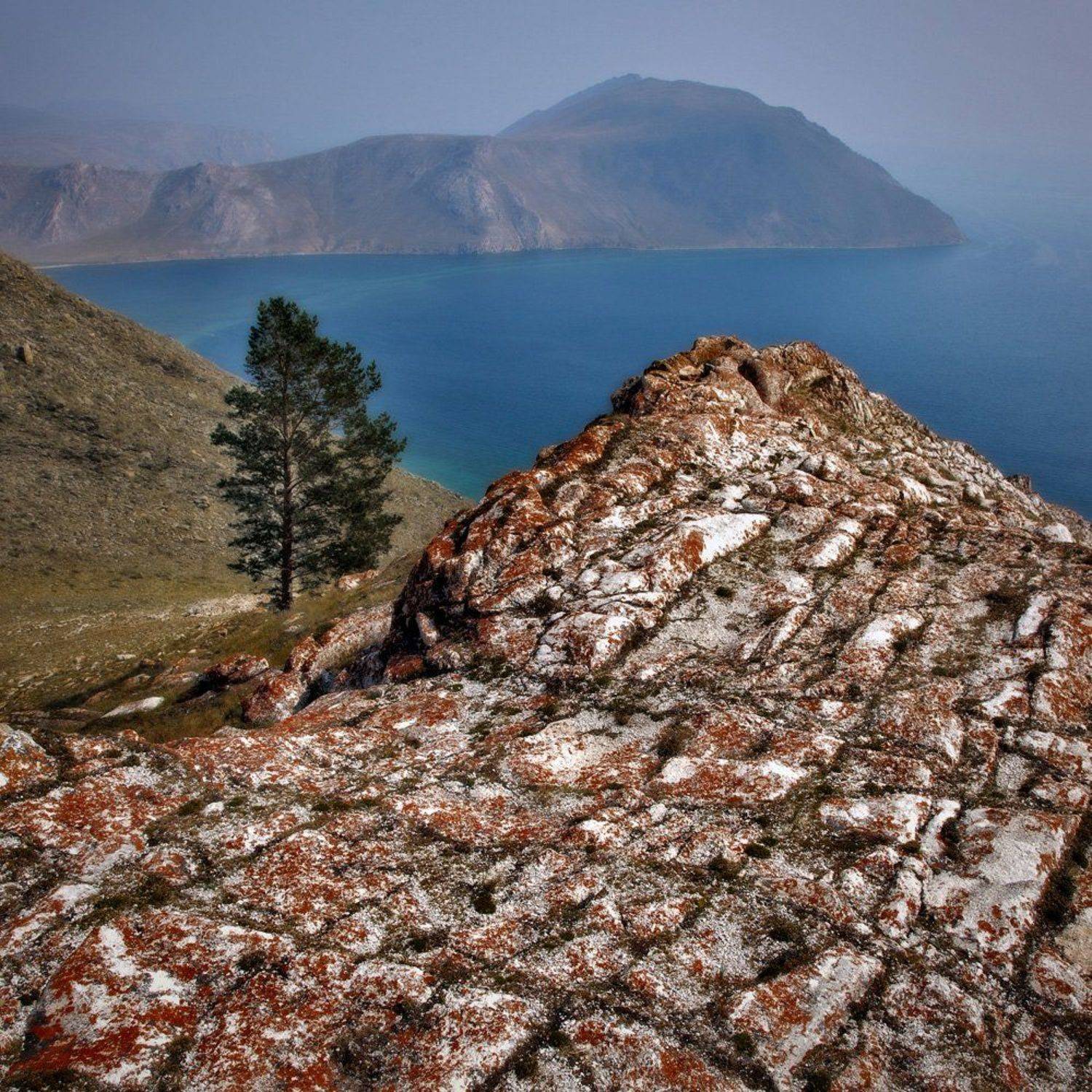 , Сергей Низовцев