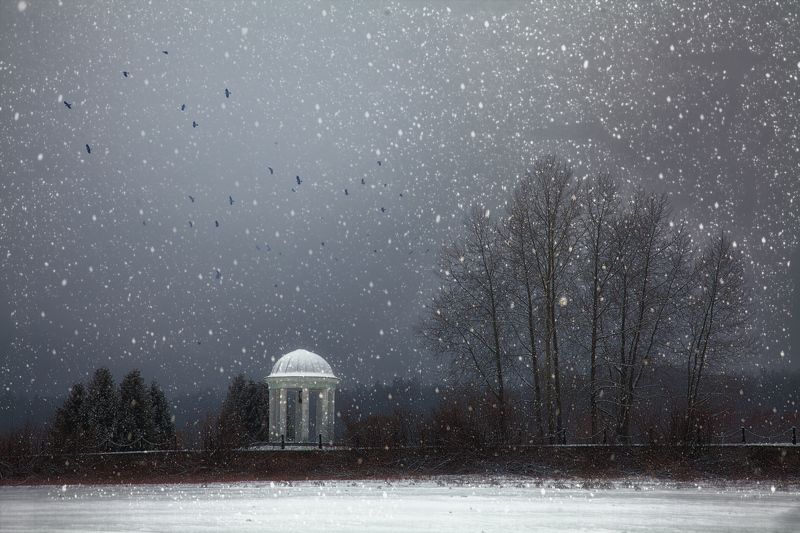 вспоминая зиму.. фото превью