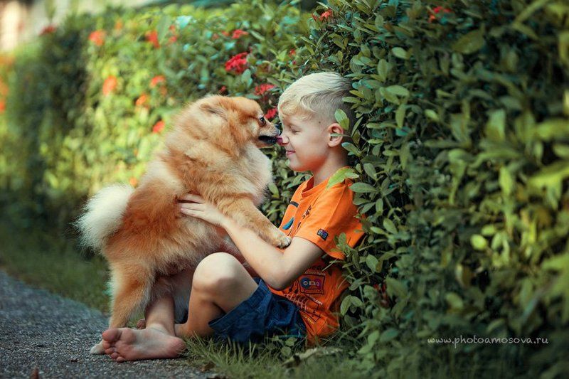 фото превью