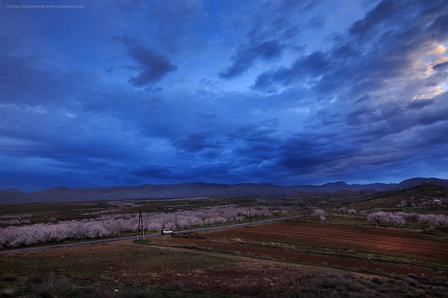 , Тигран Лорсабян