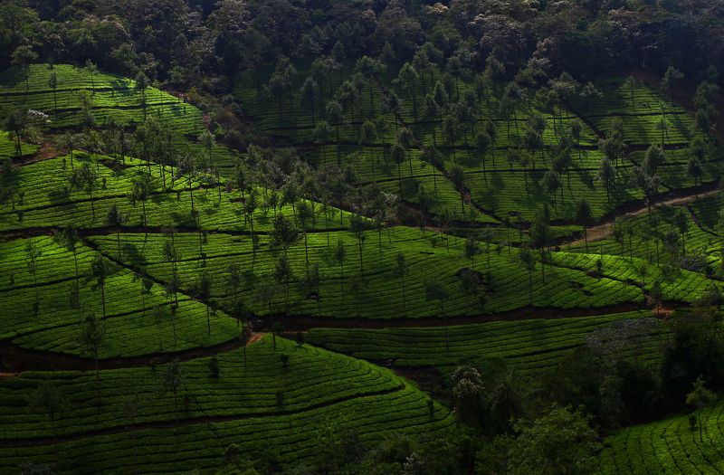 *** фото превью