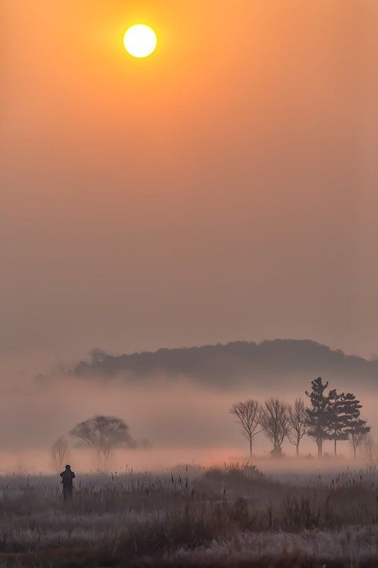 **** фото превью