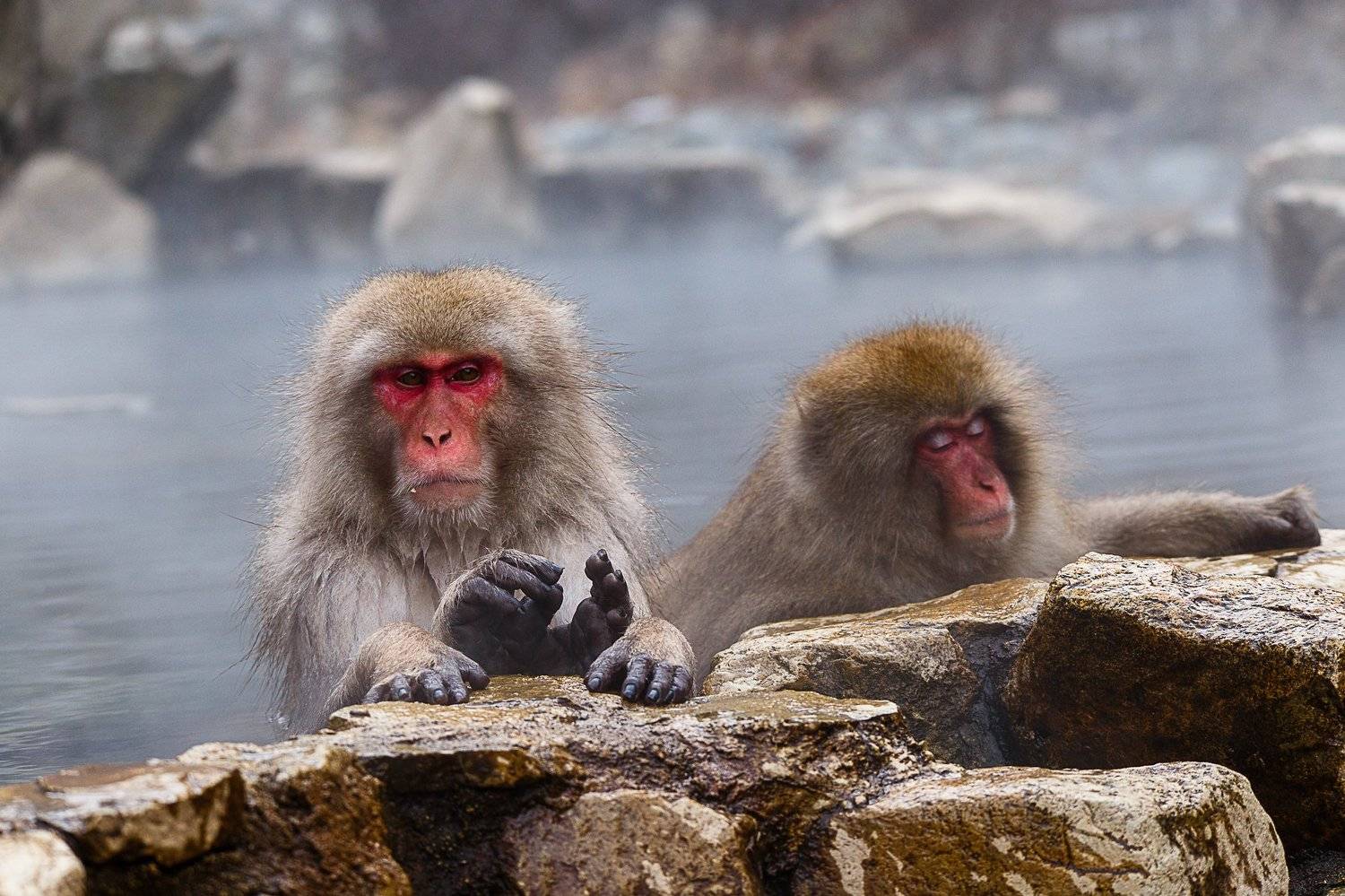 , Епишенкова Ксения