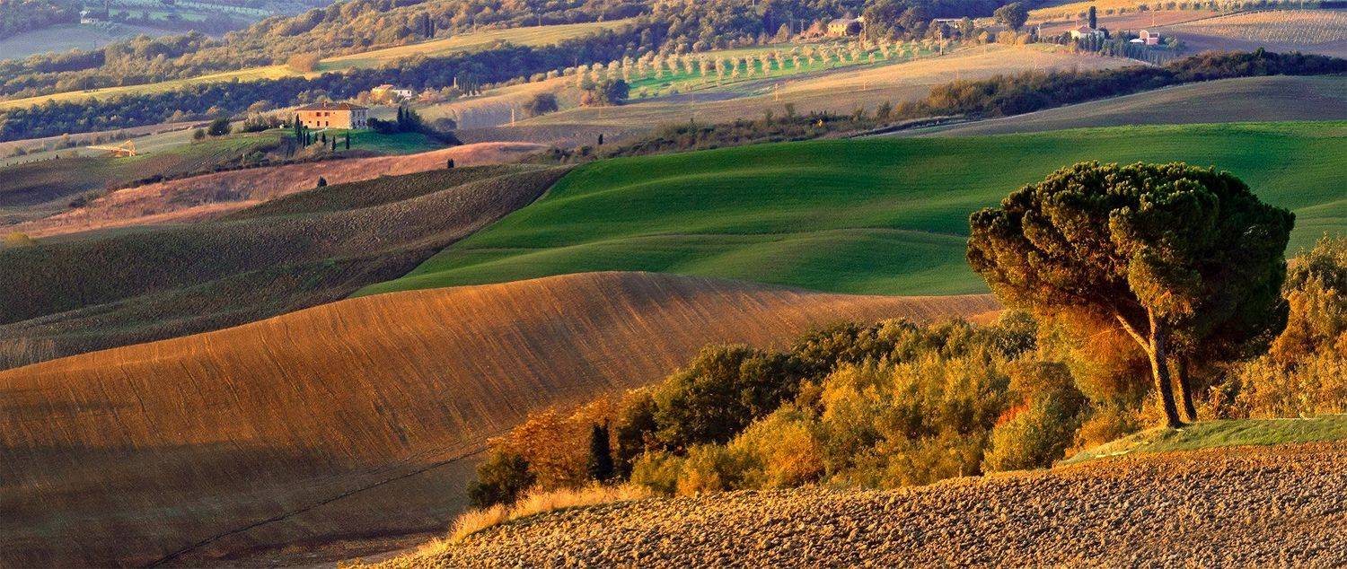 , Игорь Дубровский