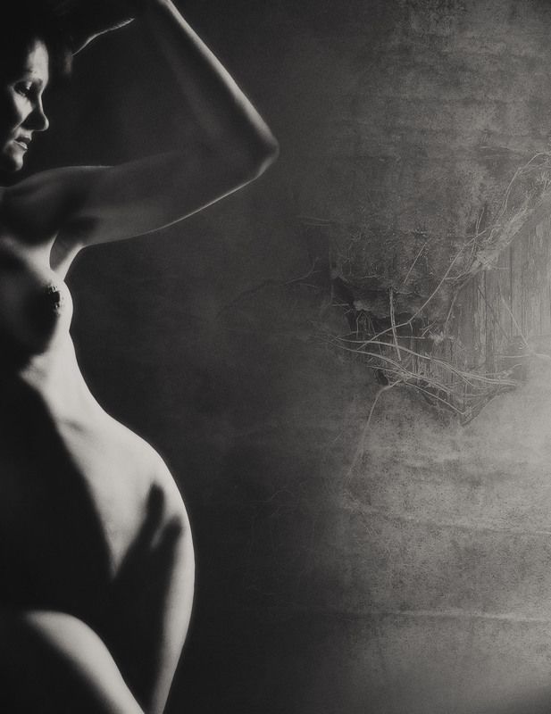 Line and shape фото превью