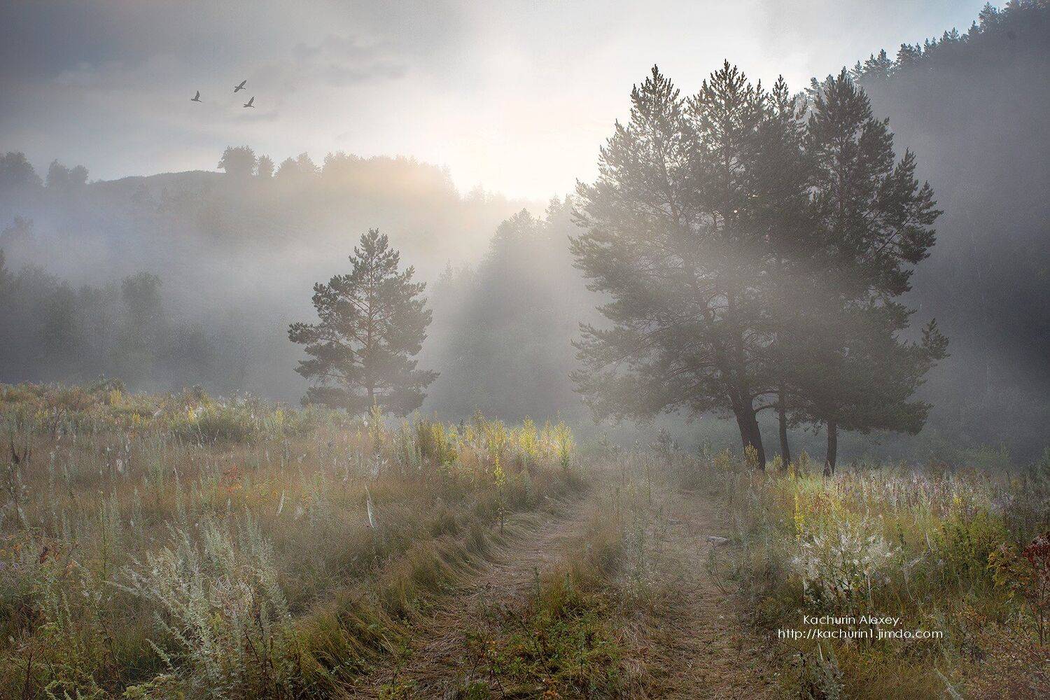 орск оренбургская обл. качурин новотроицк южный урал, Качурин Алексей