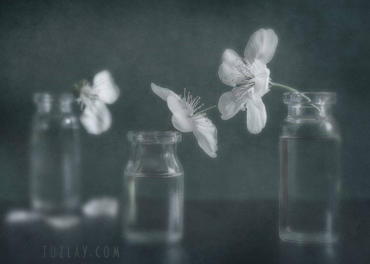 флакон, цветок, весна, Владимир Тузлай