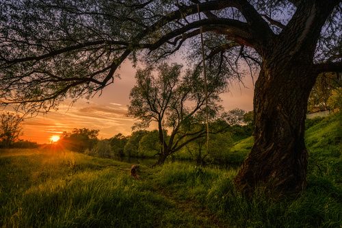 / Вечерние краски Подмосковья /