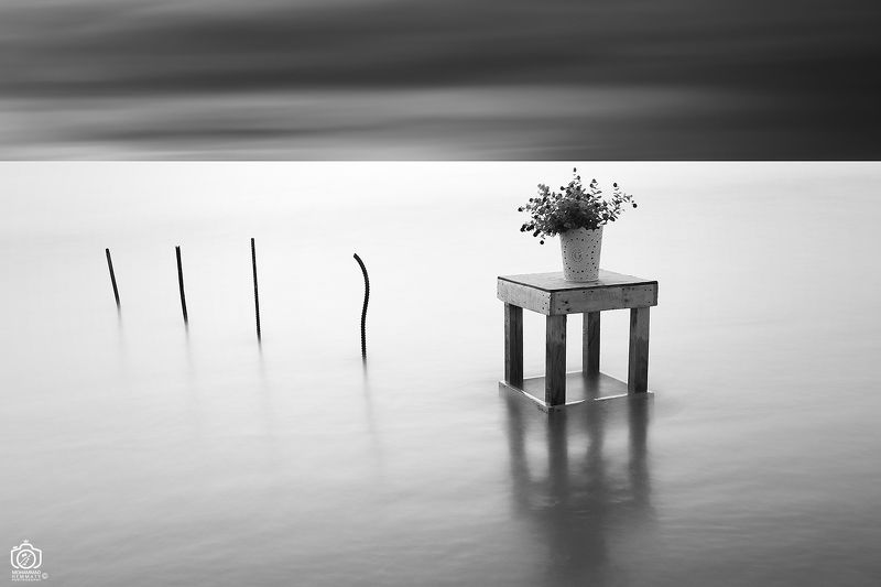 Pot Of Flowers And Sea фото превью