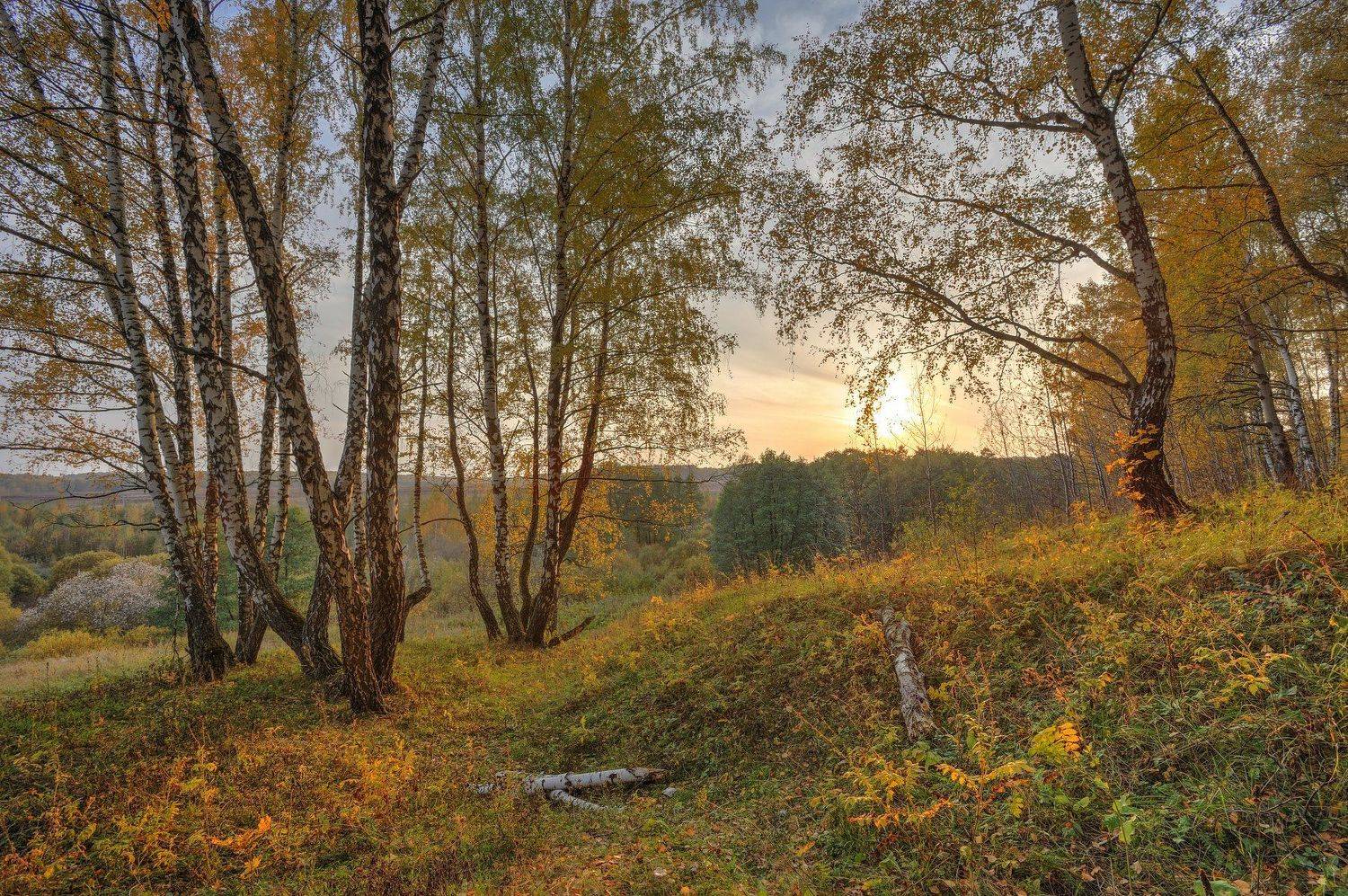 , Бурцев Дмитрий