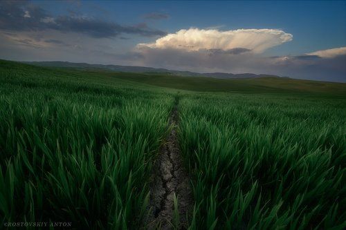 вечер в Тоскане