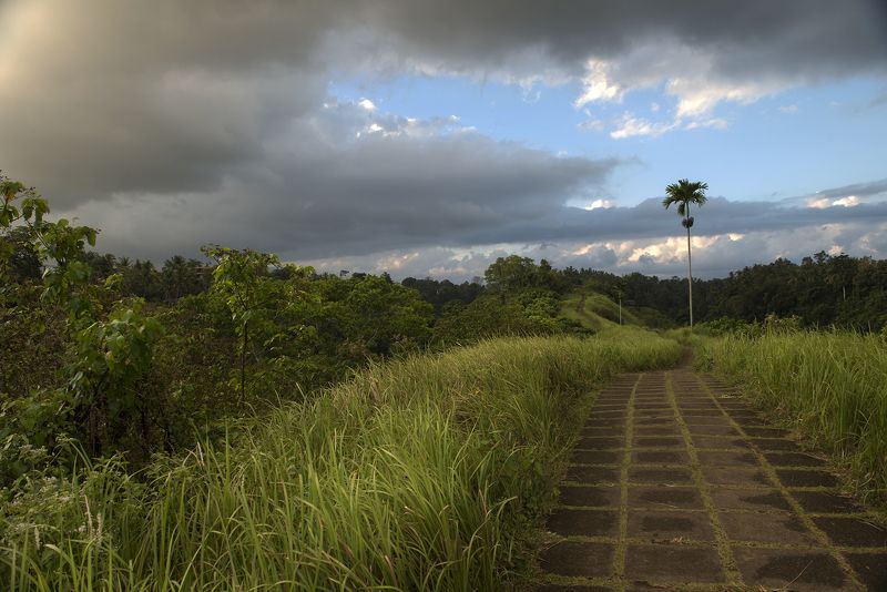 Тропа Художников фото превью