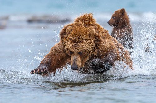 Мамины уроки