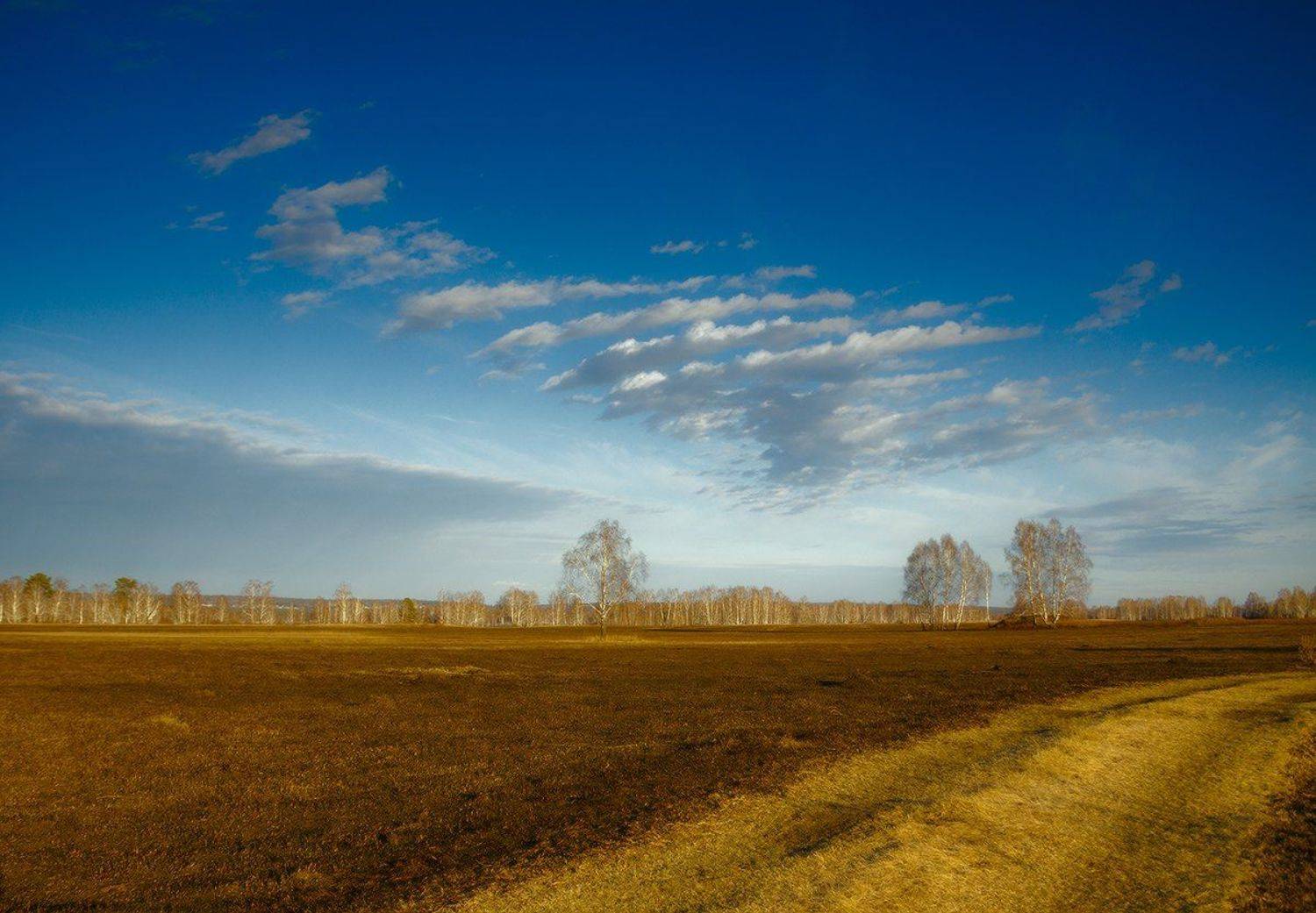 , Николай Морский