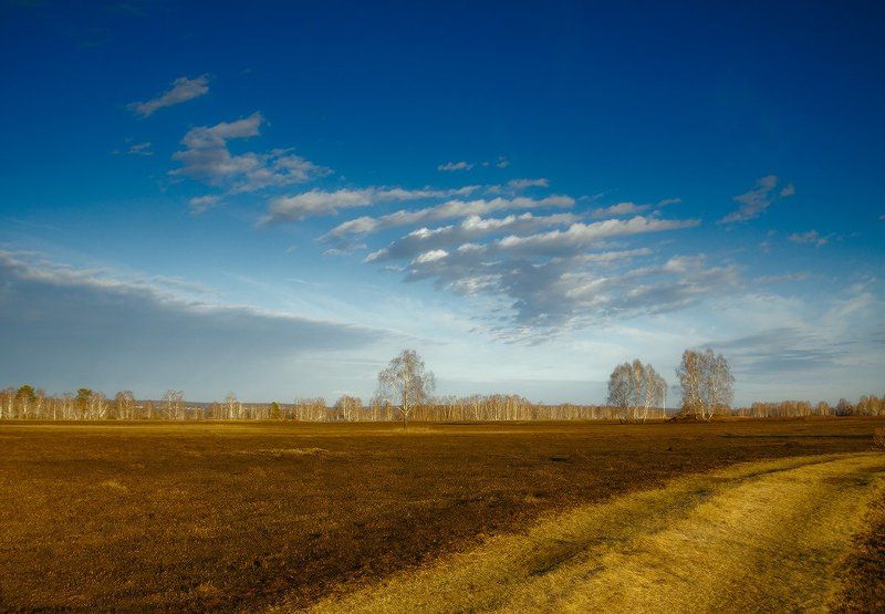 Вечерний апрель фото превью