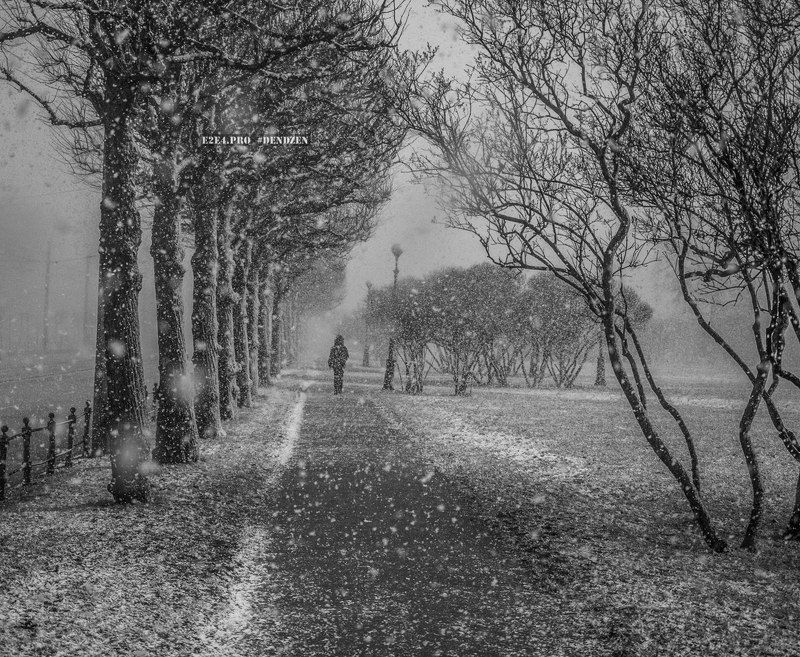 Весенний Петербург фото превью