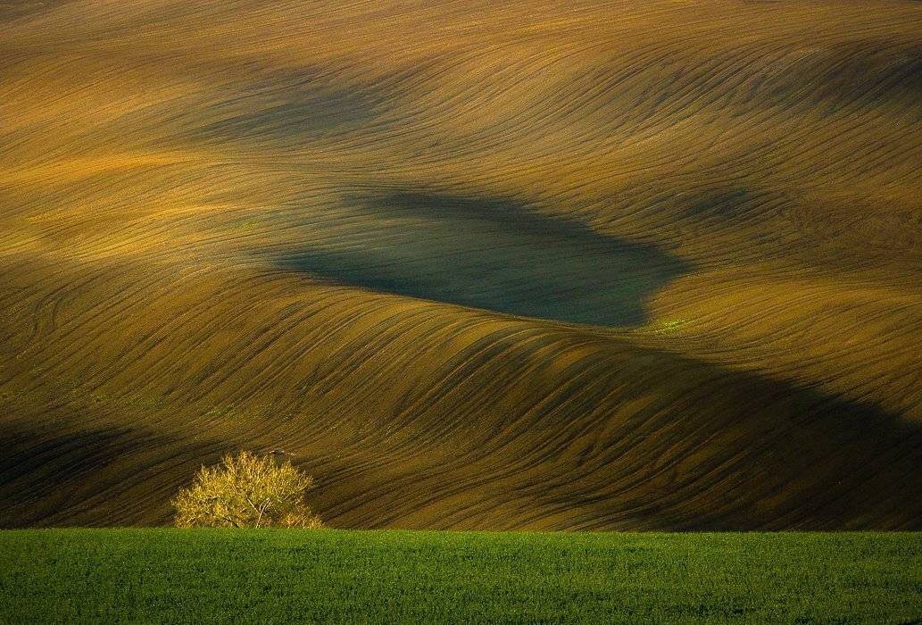 , Franti&scaron;ek Uhler