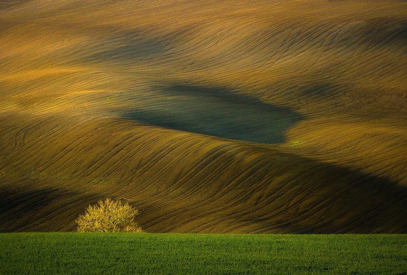 Moravian waves фото превью