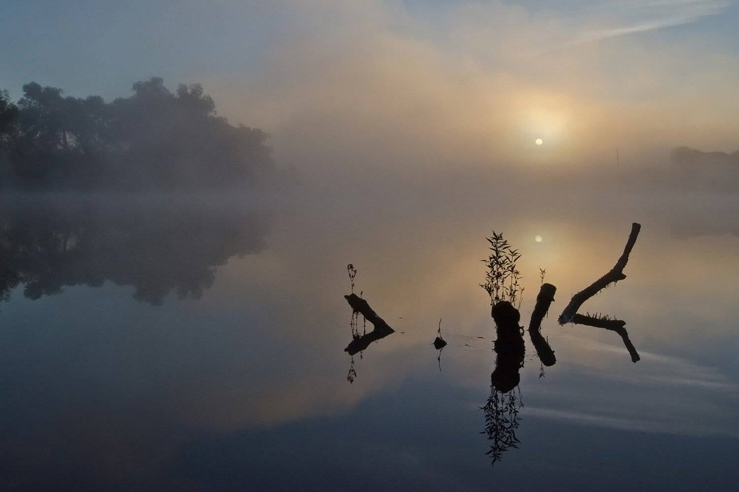 утро рассвет природа пейзаж коряги, Михаил Агеев