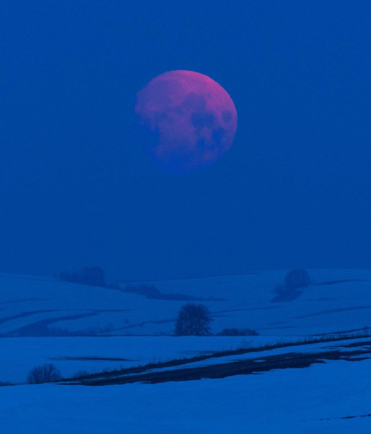 #алтай, #сибирь, #siberia, #павел_филатов, #pavel_filatov, #filatovpavelaltai, #поля, #красногорье, #красногорский_район, #алтайский_край, #луна, #moon, #красногорское, #апрель, #altai_krai, #весна, #spring, #предгорья, #foothills, Павел Филатов