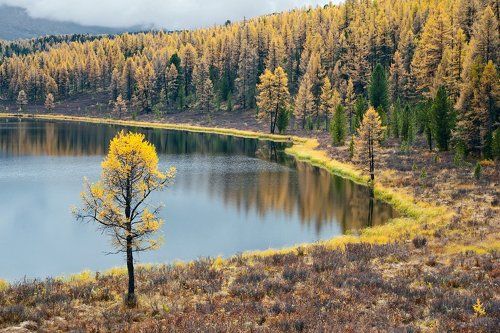 3 х 3 ... или Трижды Триптих ...