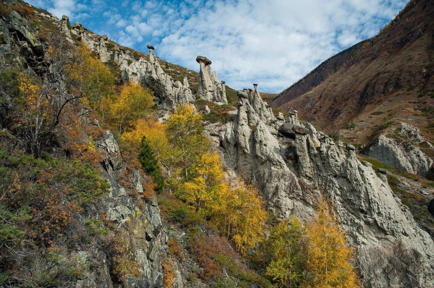 чудеса, природа, алтай, осень, камни, грибы, Максим Блинов