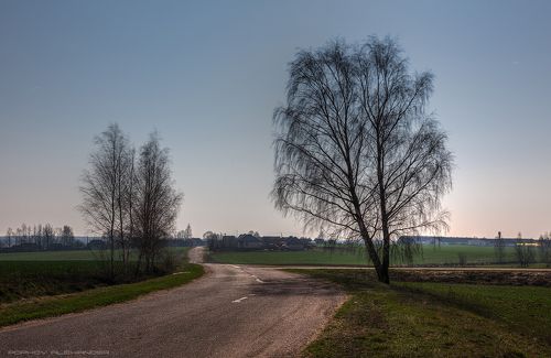 Ночной пейзаж