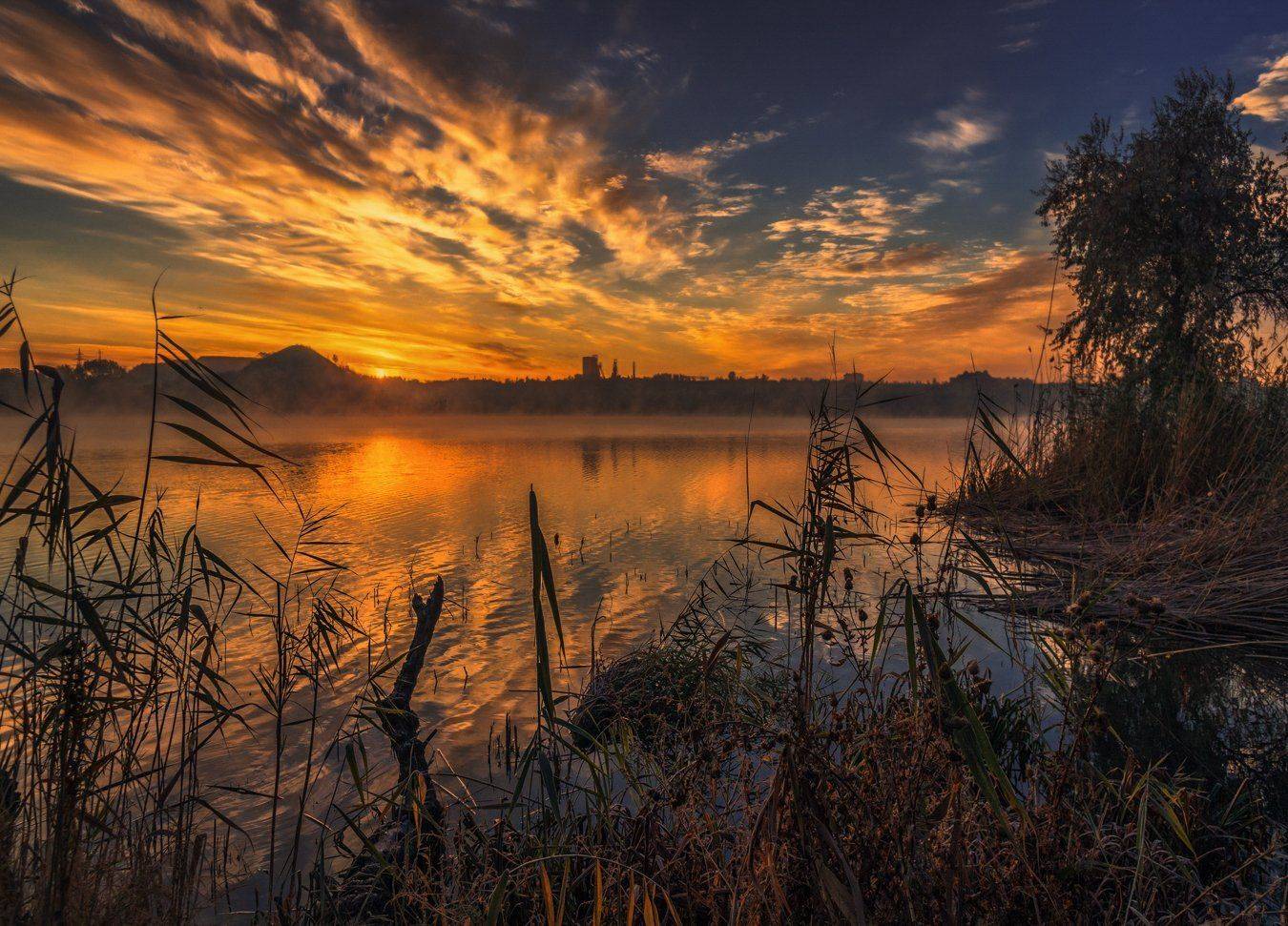 , Игорь Мелекесцев