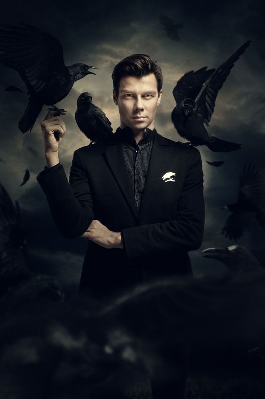 Птицы фото превью