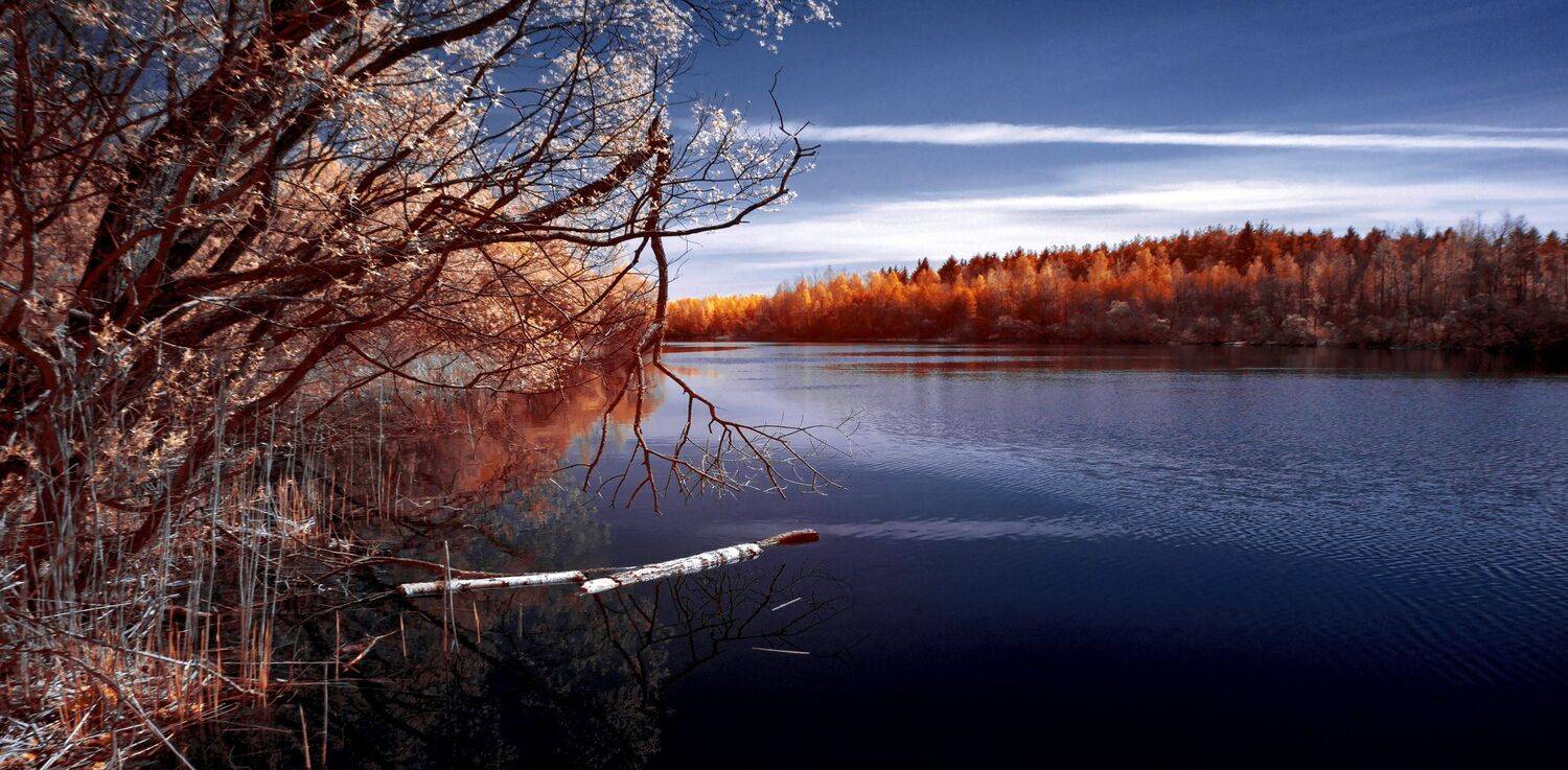 infrared,ик-фото,инфракрасное фото,инфракрасная фотография,пейзаж,природа,беларусь,весна, Sixten ( Сергей )