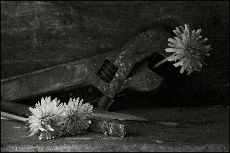 Про весну фото превью