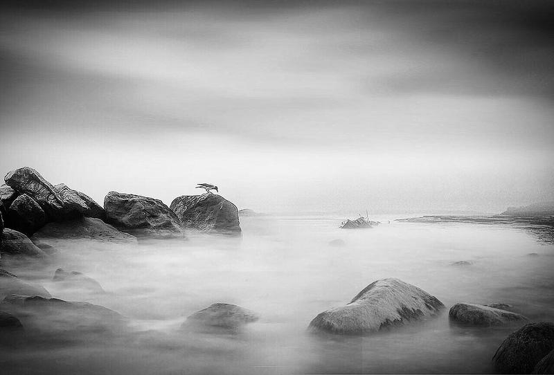 #man #cloudly #bnw #fine_art #sky #cloud #mehrzad_photo #hossein_mehrzad #black_and_white #b&w #editing #photoshop #creative #photo_art #digital #mehrzad #photography #creative_art #consept_art #freedom #woman #blood #pesonal #crush Pending Bear фото превью