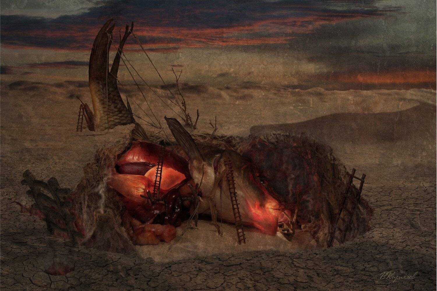 , Виктор Кириллов