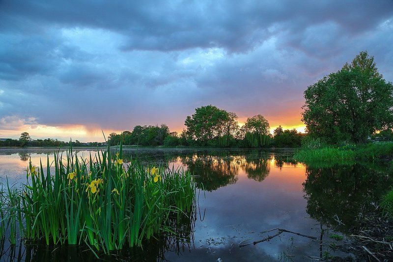 Родные края фото превью