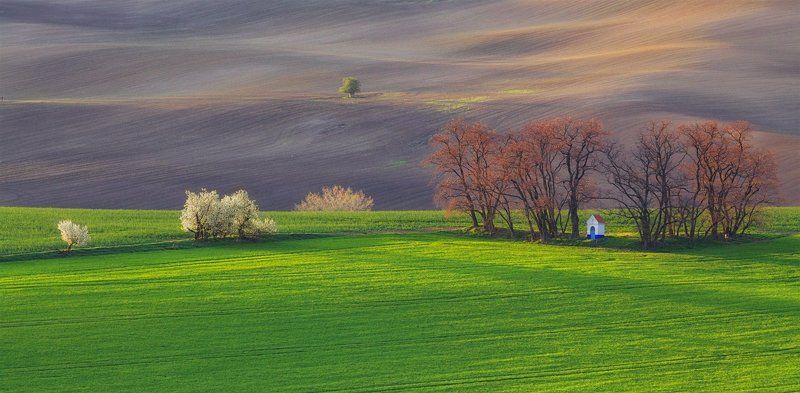 moravia, spring, april а где-то весна.. фото превью