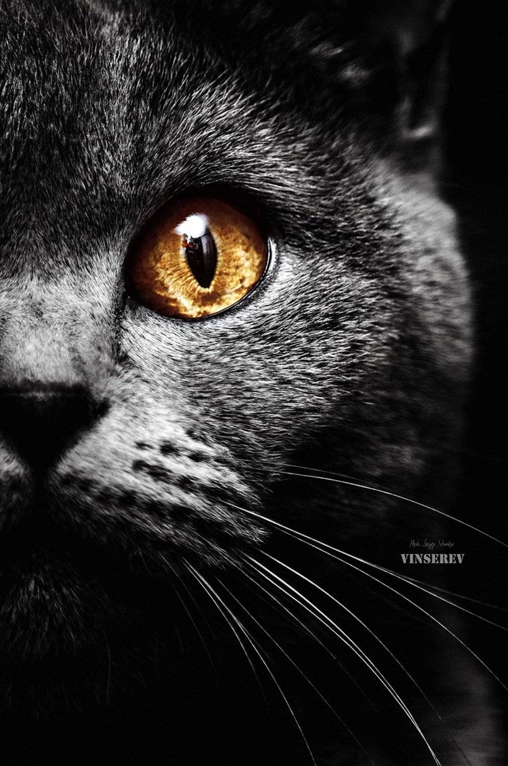 #instastyle #instafashion #instagramanet #instatag #fashion #fashionista #fashionblogger #fashionable #fashiondiaries #fashionblog #fashionweek #fashionshow #fashionstyle #fashiongram #fashionpost #fashionlover #fashiondesigner #fashionphotography #fashio, Винников Сергей