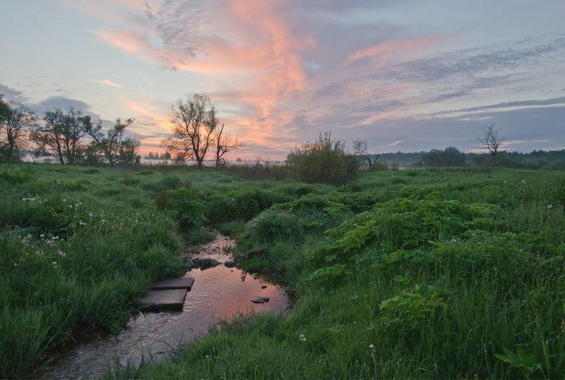 Родничок фото превью
