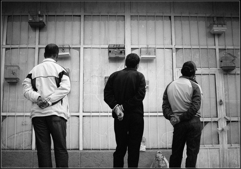 Кастинг фото превью