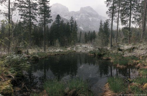 The gray morning on the lake.