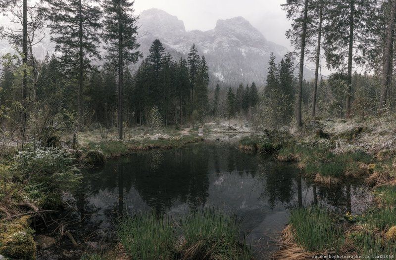 европа,германия,хинтерзее,озеро,осень,бавария,рамзау,путешествия,альпийский,альпы,удивительные,австрия,баварская,красивый,большой,синий,прозрачный,облака,европейский,лес,немецкий,зеленый,остров,земля,пейзаж,величественный The gray morning on the lake. фото превью