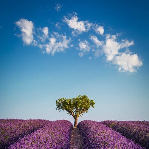Provence