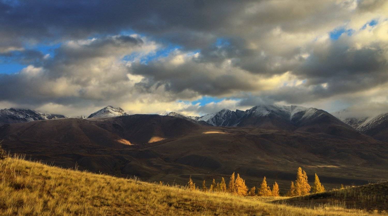 , Галина Хвостенко