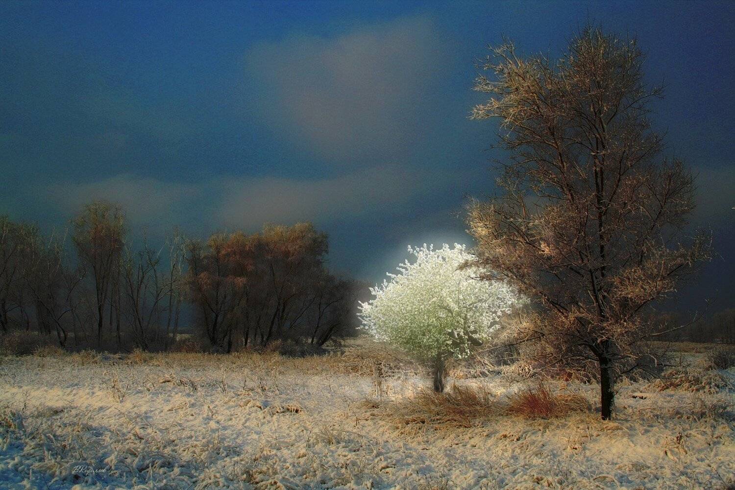 , Виктор Кириллов