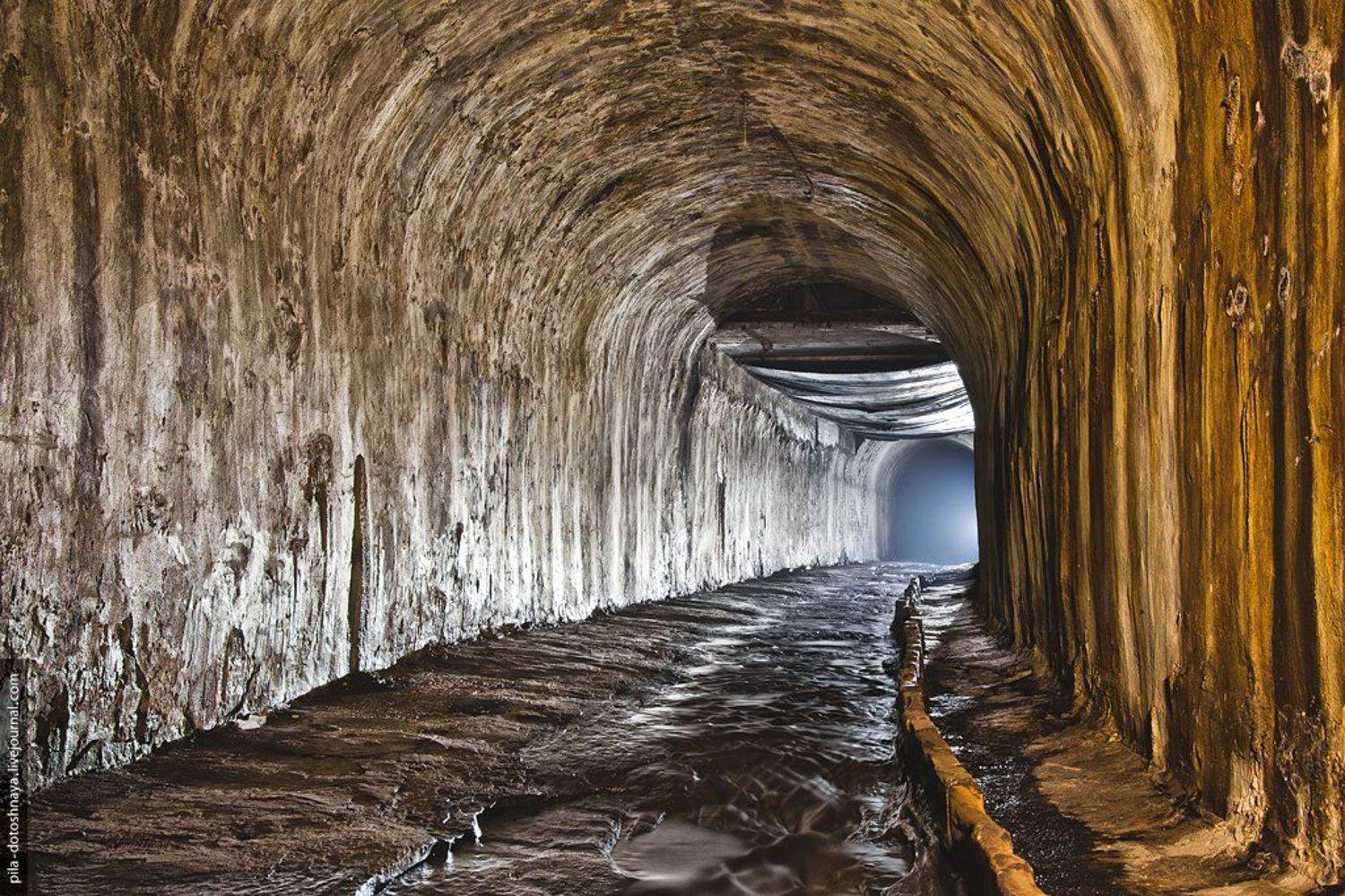 , Анна Аринова