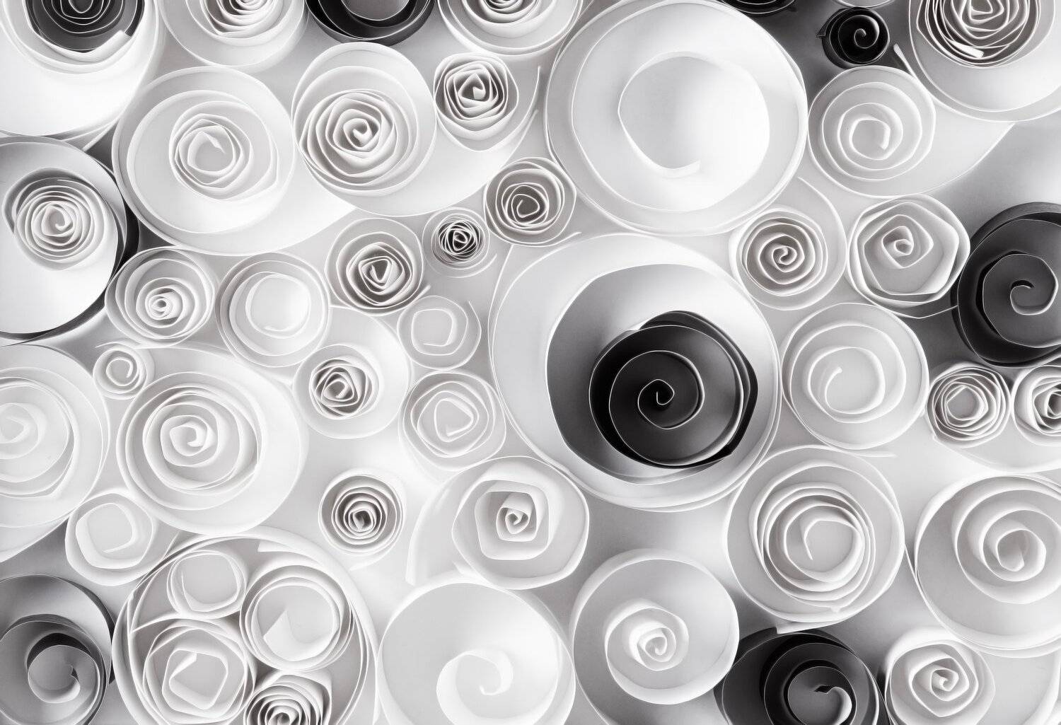 бумага, абстракции, завитушки, черный, белый, Наталья Голубева