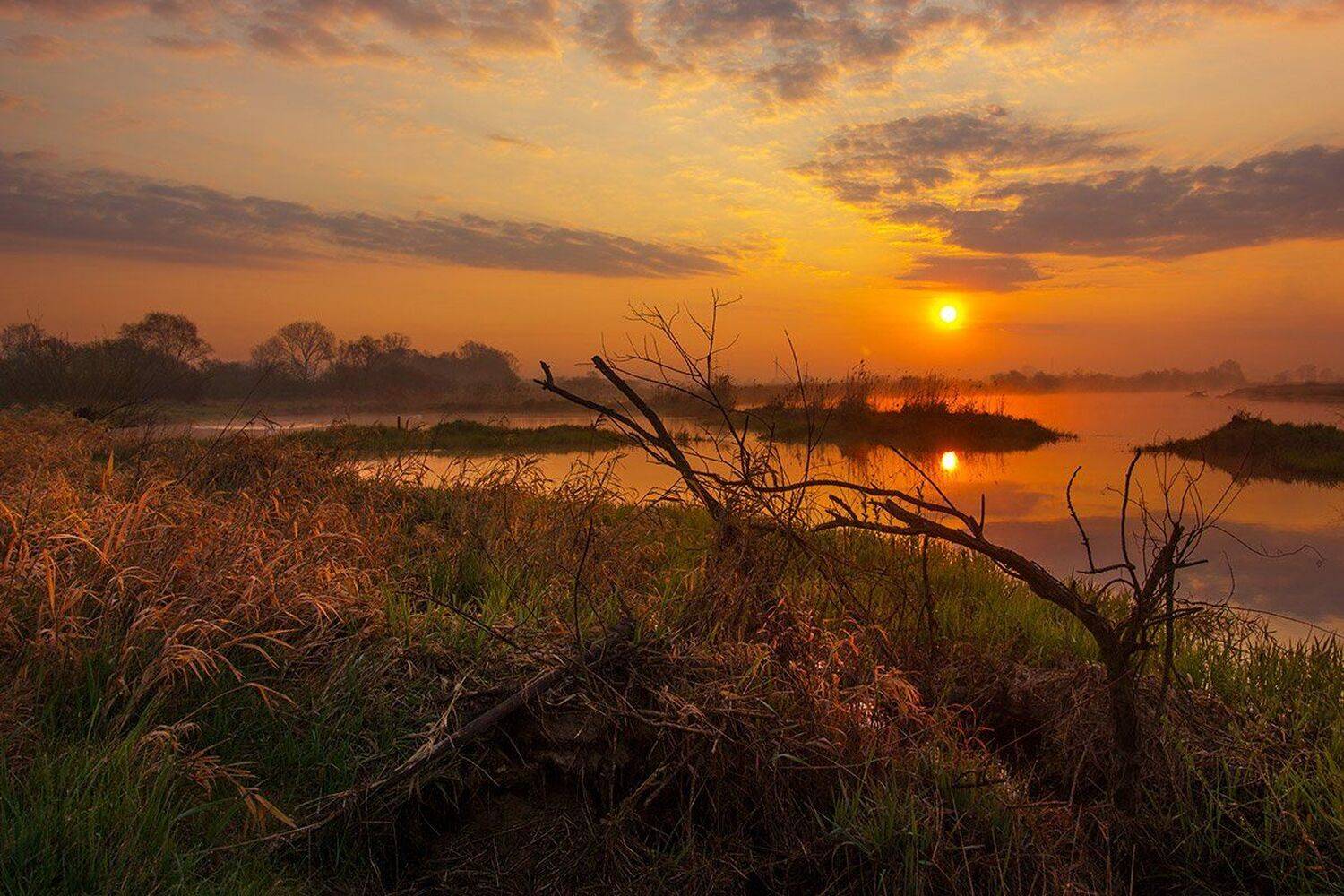 , Pawel Plucinski