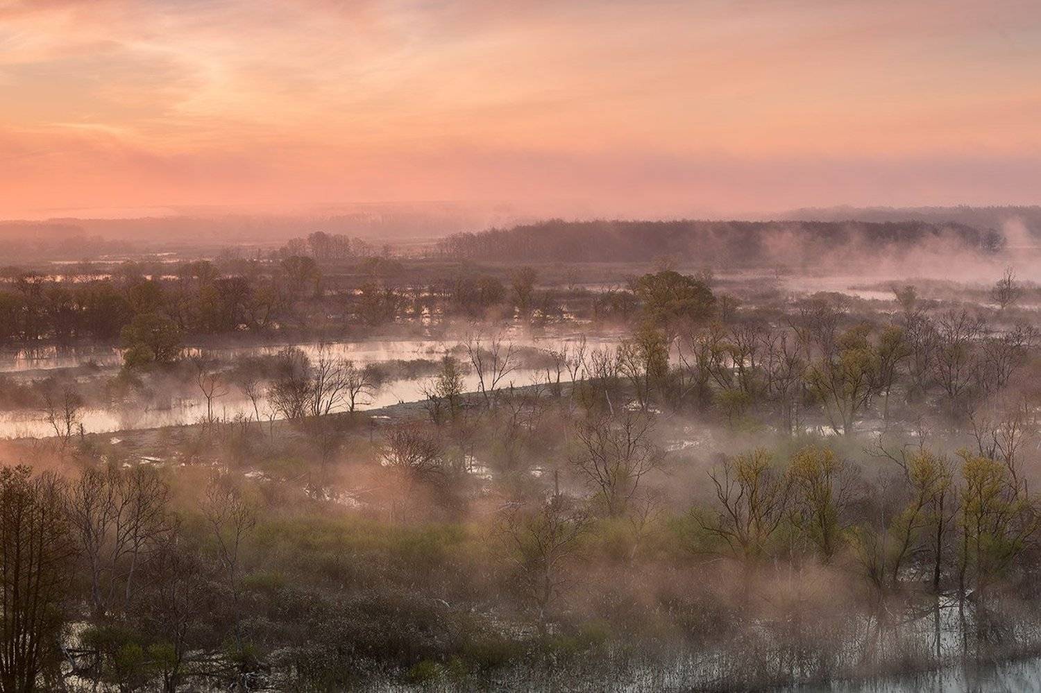 , Юрий Сорокин