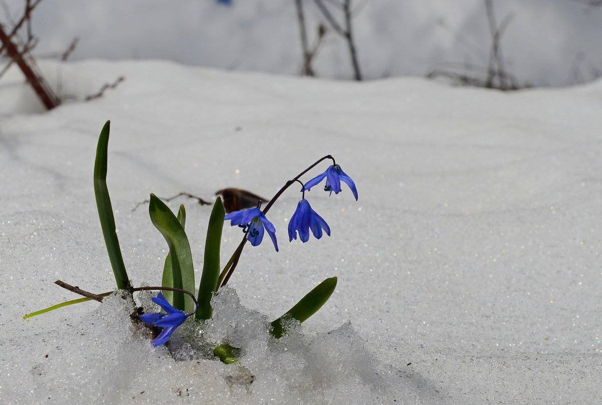 находка, Александр Маркелов